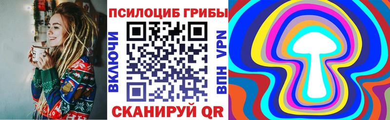 Галлюциногенные грибы Psilocybine cubensis  Льгов 